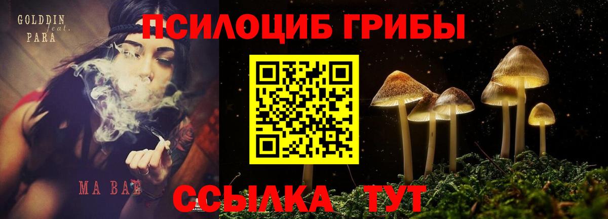 Галлюциногенные грибы прущие грибы Семёнов